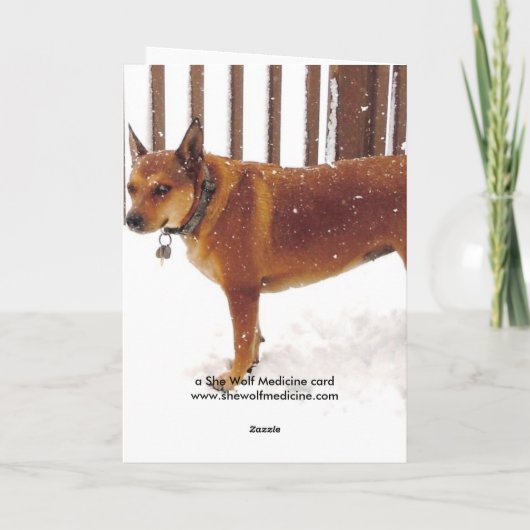 Schattige Bah, Humbug! Grumpy Red Cattle Dog Diva Feestdagen Kaart (Achterkant)