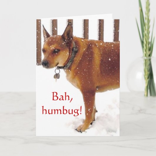 Schattige Bah, Humbug! Grumpy Red Cattle Dog Diva Feestdagen Kaart (Voorkant)
