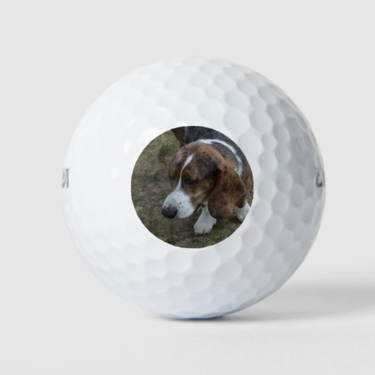 Schattige Basset Hound Golfballen (Voorkant)