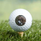 Schattige Basset Hound Golfballen (Insitu Shirt)