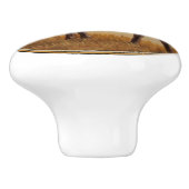 Schattige Bay Quarter paardenveulen Keramische Knop (Zijkant)