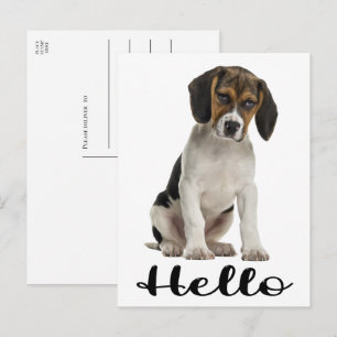 Schattige Beagle Hallo Grappige Puppy Hond Denkt A Briefkaart