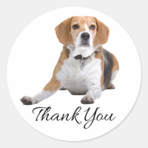 Schattige Beagle Hond Liefhebber Moeder Vader Pupp Ronde Sticker