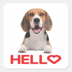 Schattige Beagle Hond Liefhebber Rode Hart Hallo V Vierkante Sticker