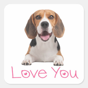 Schattige Beagle Hond Liefhebber Roze Harten Lief Vierkante Sticker