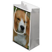 Schattige beagle klein cadeauzakje (Achterkant Gekanteld)