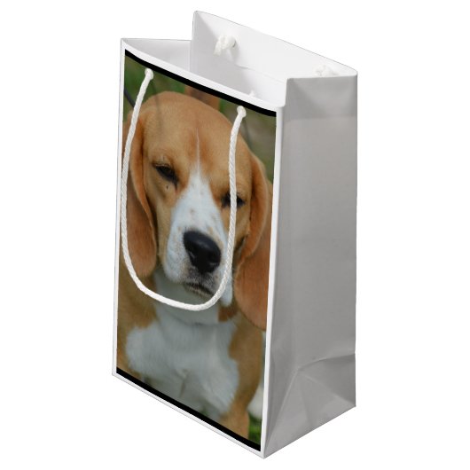 Schattige beagle klein cadeauzakje (Achterkant Gekanteld)