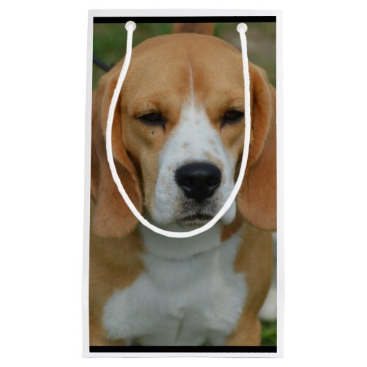 Schattige beagle klein cadeauzakje (Voorkant)