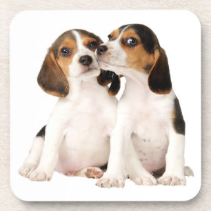 Schattige Beagle Moeder Hond Liefhebber Puppy Vade Bier Onderzetter