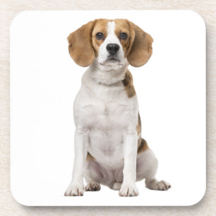 Schattige Beagle Moeder Hond Liefhebber Puppy Vade Bier Onderzetter