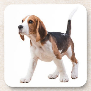 Schattige Beagle Moeder Hond Liefhebber Puppy Vade Bier Onderzetter