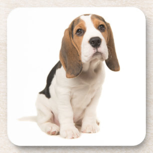 Schattige Beagle Moeder Hond Liefhebber Puppy Vade Bier Onderzetter