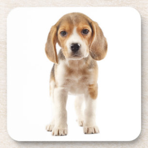 Schattige Beagle Moeder Hond Liefhebber Puppy Vade Bier Onderzetter