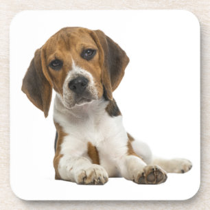 Schattige Beagle Moeder Hond Liefhebber Puppy Vade Bier Onderzetter