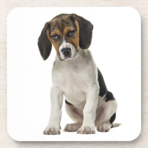 Schattige Beagle Moeder Hond Liefhebber Puppy Vade Bier Onderzetter