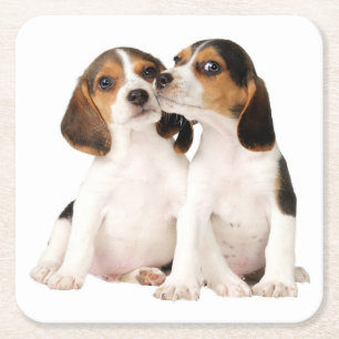 Schattige Beagle Moeder Hond Liefhebber Puppy Vade Kartonnen Onderzetters