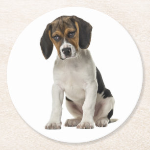 Schattige Beagle Moeder Hond Liefhebber Puppy Vade Ronde Kartonnen Onderzetter