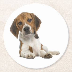 Schattige Beagle Moeder Hond Liefhebber Puppy Vade Ronde Kartonnen Onderzetter