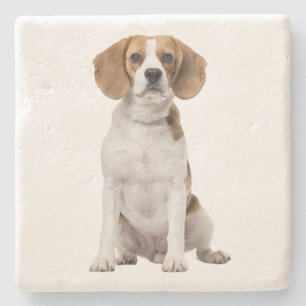 Schattige Beagle Moeder Hond Liefhebber Puppy Vade Stenen Onderzetter