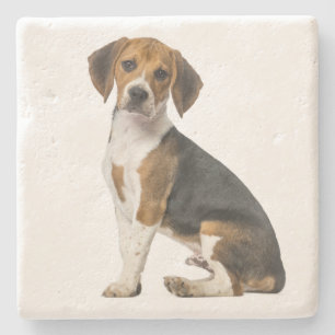Schattige Beagle Moeder Hond Liefhebber Puppy Vade Stenen Onderzetter