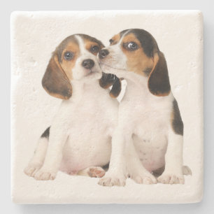 Schattige Beagle Moeder Hond Liefhebber Puppy Vade Stenen Onderzetter