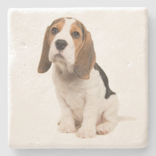 Schattige Beagle Moeder Hond Liefhebber Puppy Vade Stenen Onderzetter