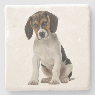 Schattige Beagle Moeder Hond Liefhebber Puppy Vade Stenen Onderzetter