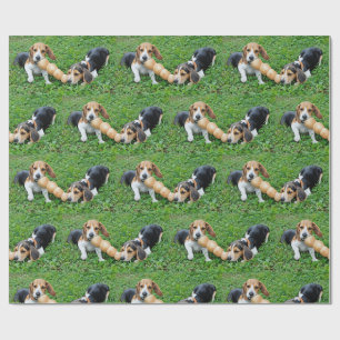 Schattige Beagle Puppies Tug of War Cadeaupapier