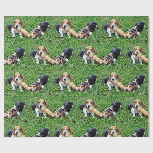 Schattige Beagle Puppies Tug of War Cadeaupapier (Vlak)