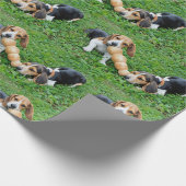 Schattige Beagle Puppies Tug of War Cadeaupapier (Hoek)