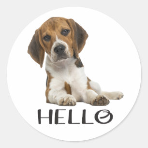Schattige Beagle Puppy Hallo Ik Denk Aan Jou Vrien Ronde Sticker