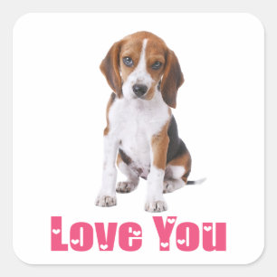 Schattige Beagle Puppy Hond Lief Je Vierkante Sticker