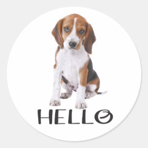 Schattige Beagle Puppy Hond Liefhebber Hallo Denk Ronde Sticker