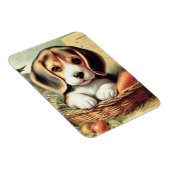 Schattige Beagle Puppy Magneet (Rechterzijde)