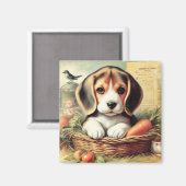 Schattige Beagle Puppy Magneet (Voorkant / Achterkant)