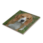 Schattige beagle tegeltje (Zijkant)