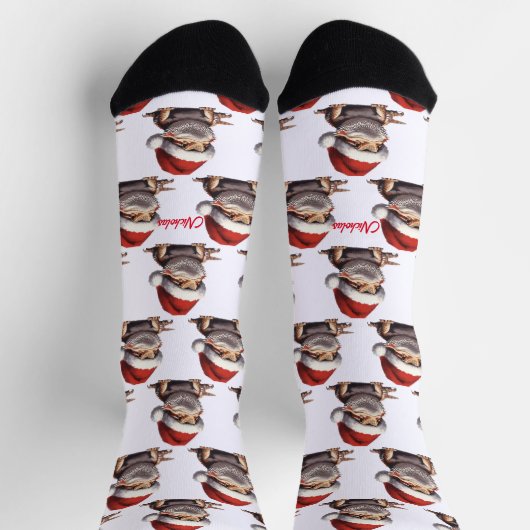 Schattige Bearded Dragon en Santa Hat Wit Sokken (Top)