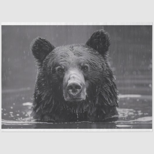 Schattige Beer zwart-wit decoupage Tissuepapier (Voorkant)