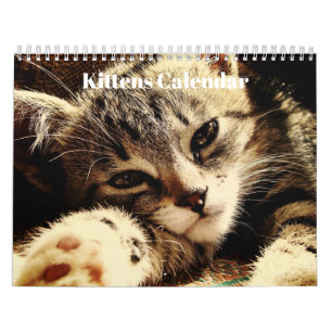 Schattige Bengaalse Kittens 2027 Kalender