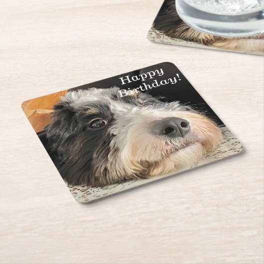 Schattige Bernedoodle Kartonnen Onderzetters (Schuin)