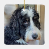 Schattige Bernedoodle Keramisch Ornament (Achterkant)