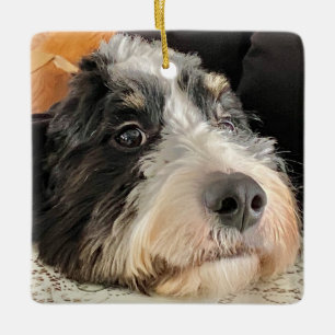 Schattige Bernedoodle Keramisch Ornament
