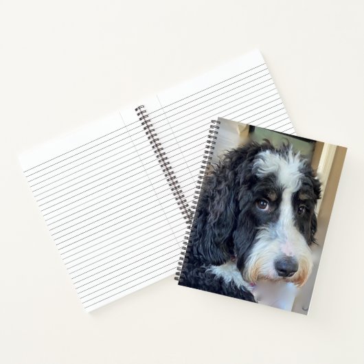 Schattige Bernedoodle Notitieboek (Binnen)