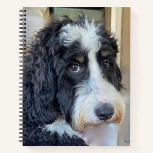 Schattige Bernedoodle Notitieboek