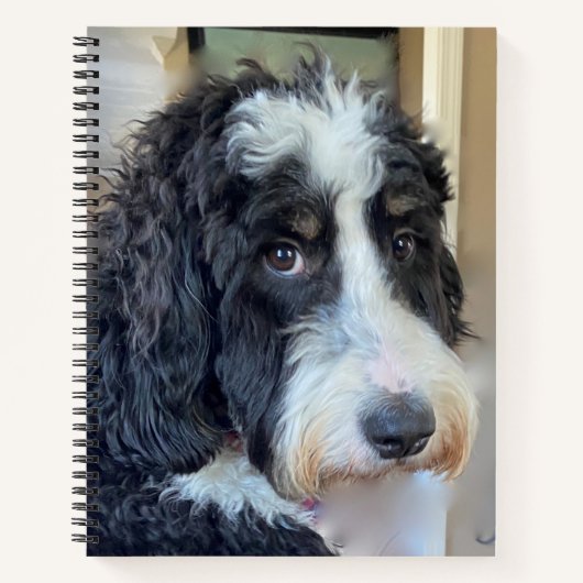 Schattige Bernedoodle Notitieboek (Voorkant)
