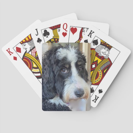 Schattige Bernedoodle Pokerkaarten (Achterkant)