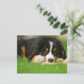 Schattige Berner Mountain Dog Puppy Briefkaart (Staand voorkant)