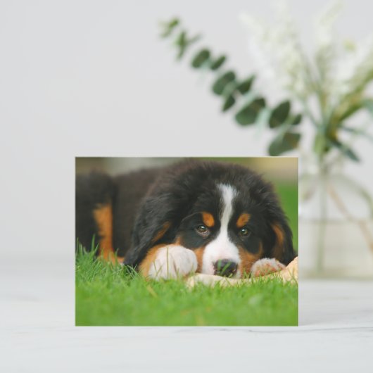Schattige Berner Mountain Dog Puppy Briefkaart (Staand voorkant)