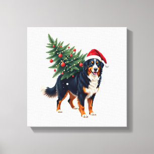 Schattige Berner Sennenhond in een kerstboom voor  Canvas Afdruk