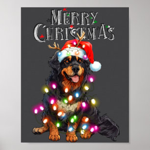Schattige Berner Sennenhond Kerstlichtjes Kersthon Poster